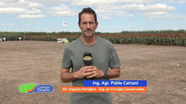 Campo Directo | Es momento de chequear las dietas