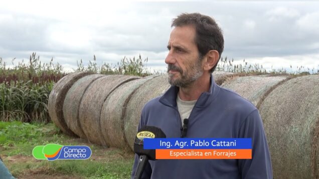 Campo Directo | Conocemos más sobre calidad y uso de mallas para redes