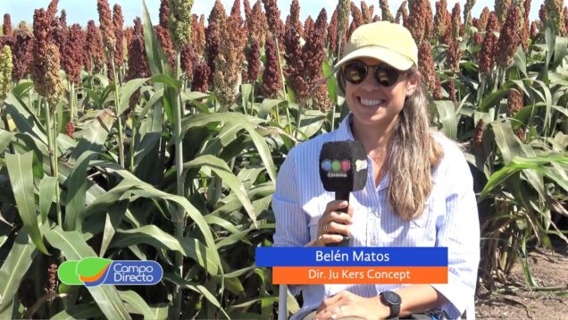 Campo Directo | El campo descubre la importancia de la comunicación y el marketing