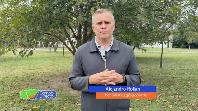 Campo Directo | Preocupación por el ingreso de maquinaria agrícola usada