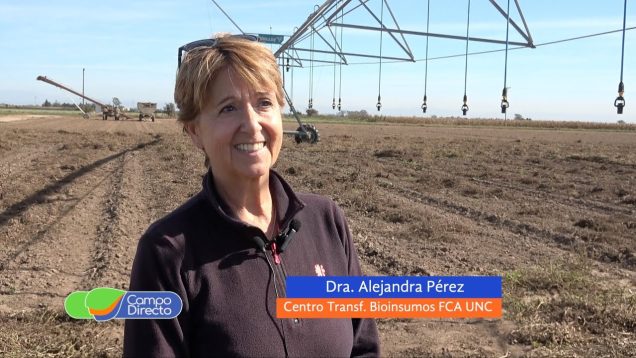 Campo Directo | Cada vez más biológicos van al maní