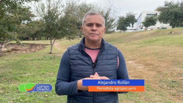 Campo Directo | China pone la lupa sobre sus importaciones de carne