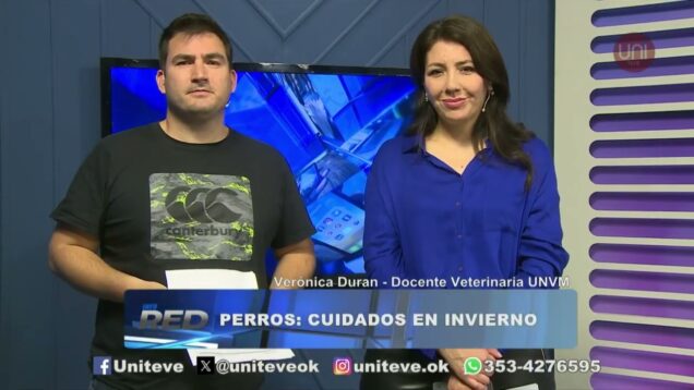 Uniteve Noticias | Cuidados de las mascotas durante el invierno