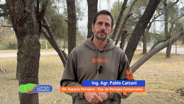 Campo Directo | Análisis de datos para la toma de decisiones concretas