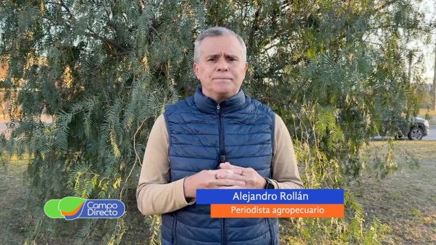 Campo Directo | ¿Cómo están los márgenes agrícolas para la actual campaña?