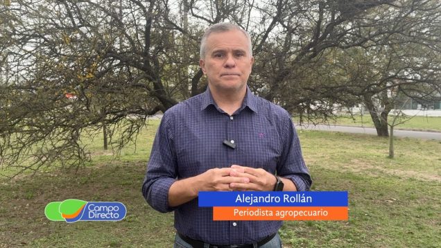 Campo Directo | Campaña 2025/2026