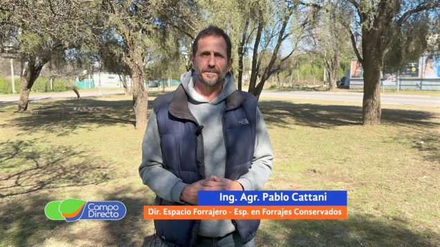 Campo Directo | La campaña de picado ya tiene sus estadísticas actualizadas