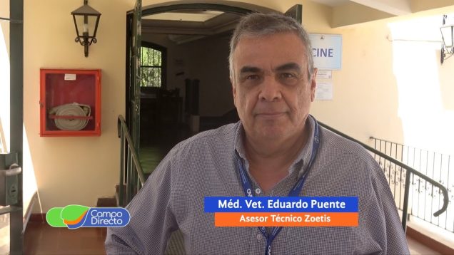 Campo Directo | 42as. Jornadas de Cs Veterinarias Manejo de la neumonía en los rodeos