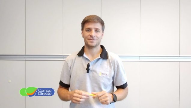 Campo Directo | Análisis Agrometeorológico de la BCCBA 28-11-2025