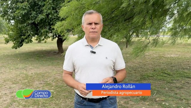 Campo Directo | Carne vacuna: EE. UU. ampliaría la cuota a la Argentina