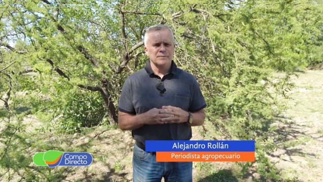 Campo Directo | El Inmobiliario Rural en Córdoba se actualizará 30%