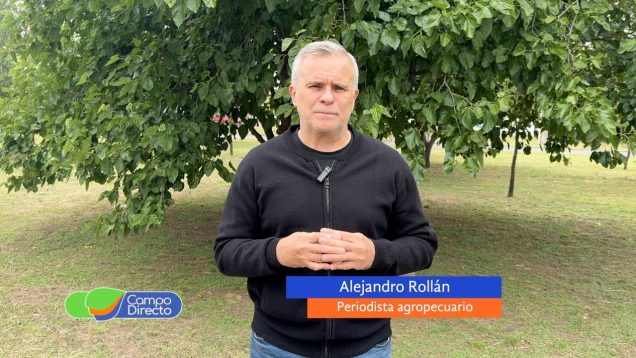 Campo Directo | El trigo en Córdoba