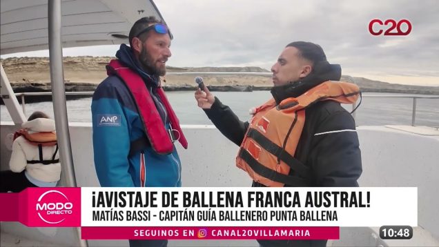 Modo Directo | Avistaje de ballena franca austral