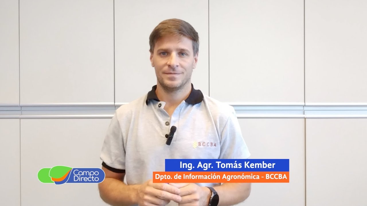 Campo Directo | Análisis Agrometeorológico de la BCCBA 26-12-2025