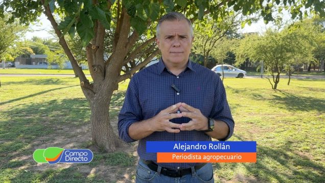 Campo Directo | La campaña gruesa en Córdoba viene con márgenes positivos