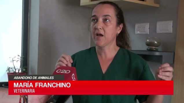 C20 Noticias | Abandono de animales – María Franchino