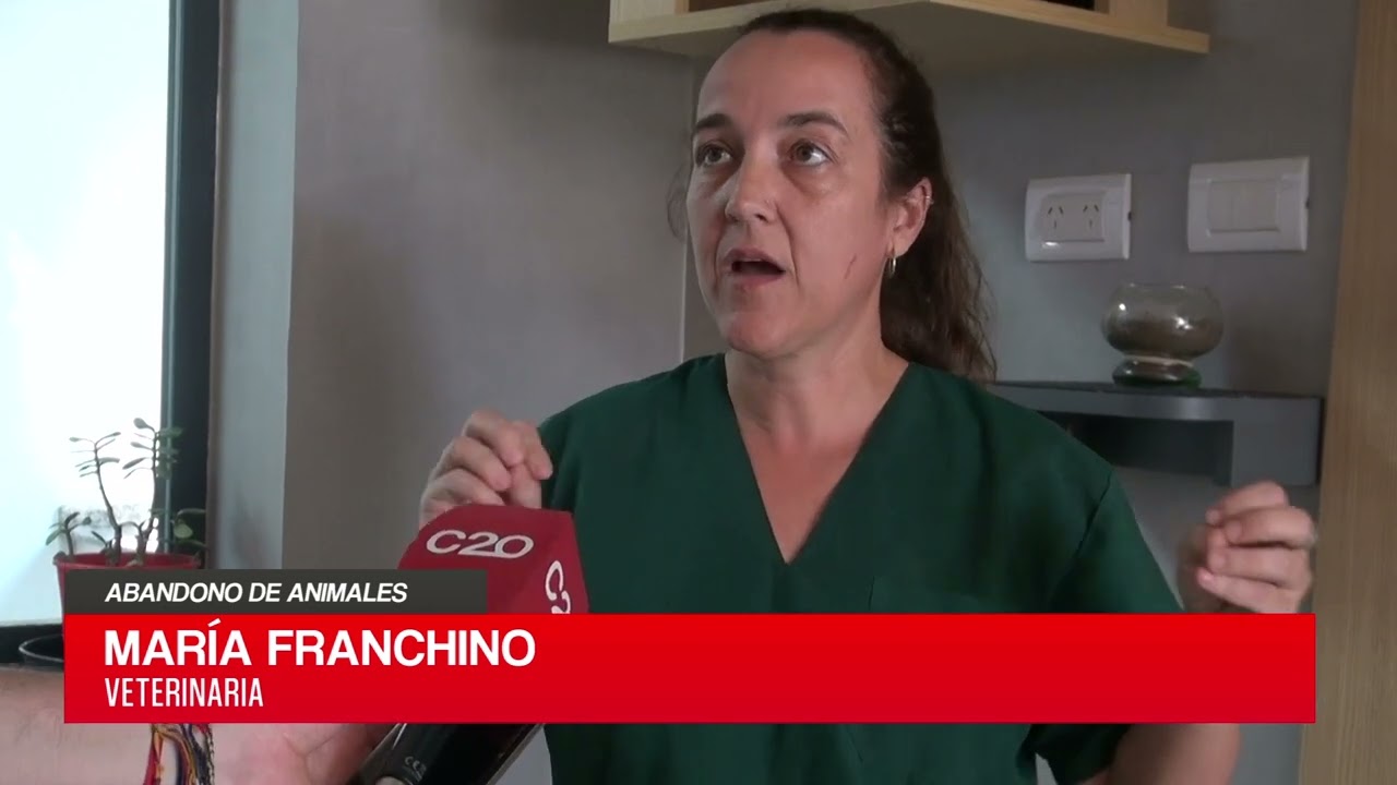 C20 Noticias | Abandono de animales – María Franchino