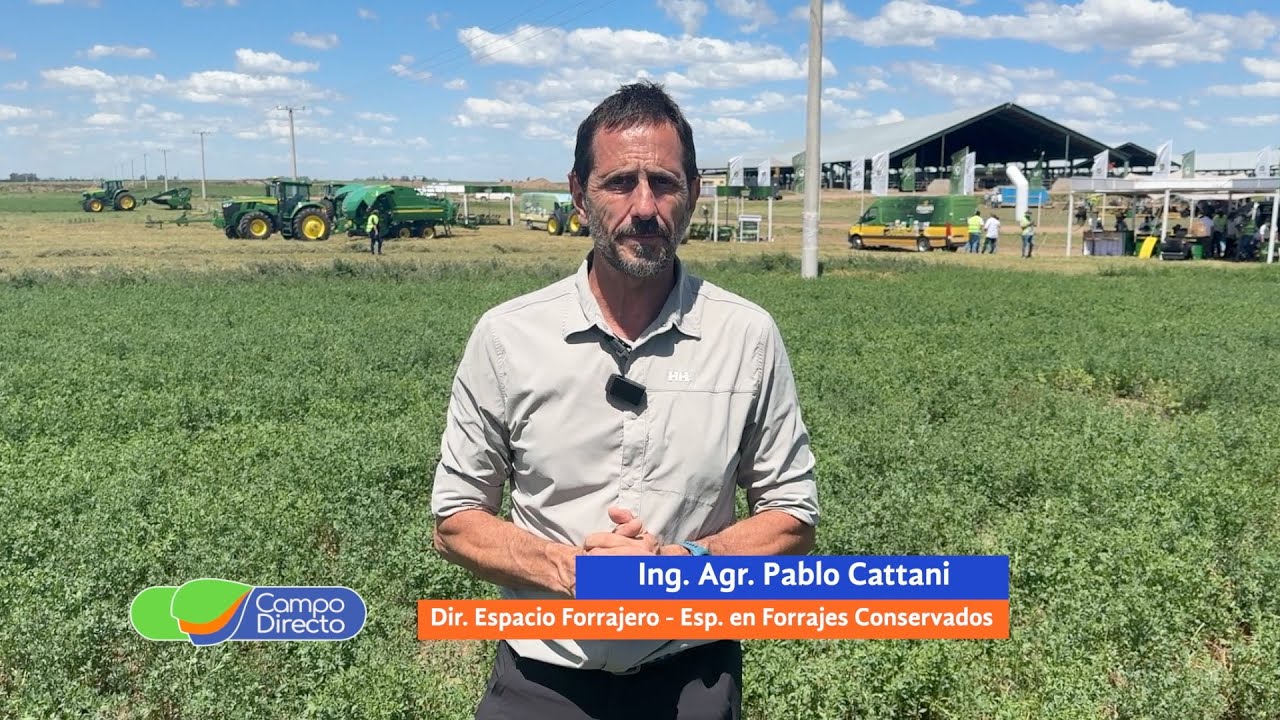 Campo Directo | Alfalfa, rumbo a la calidad por distintos caminos