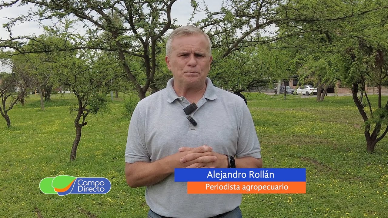 Campo Directo | Impuestos: 2025 terminó con un alivio fiscal para la producción de granos